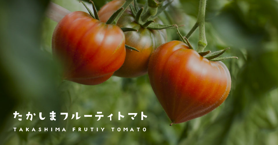 たかしま農園 長崎 高島のフルーツトマト 通販 オンラインショップ